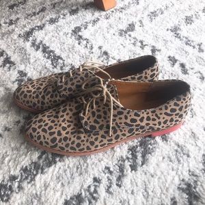 DOLCE VITA LEOPARD OXFORDS